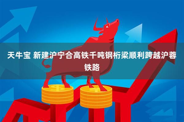 天牛宝 新建沪宁合高铁千吨钢桁梁顺利跨越沪蓉铁路