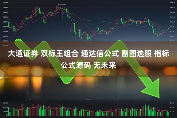大通证券 双标王组合 通达信公式 副图选股 指标公式源码 无未来