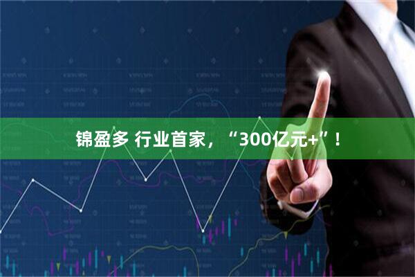 锦盈多 行业首家,“300亿元+”!